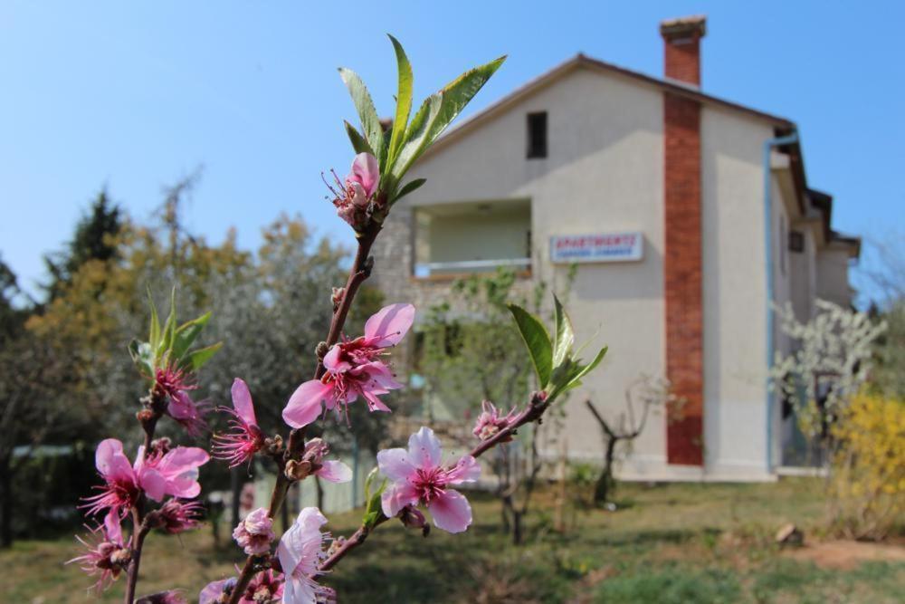 Apartments Sandra With Two Balcony Rovinj Exterior foto