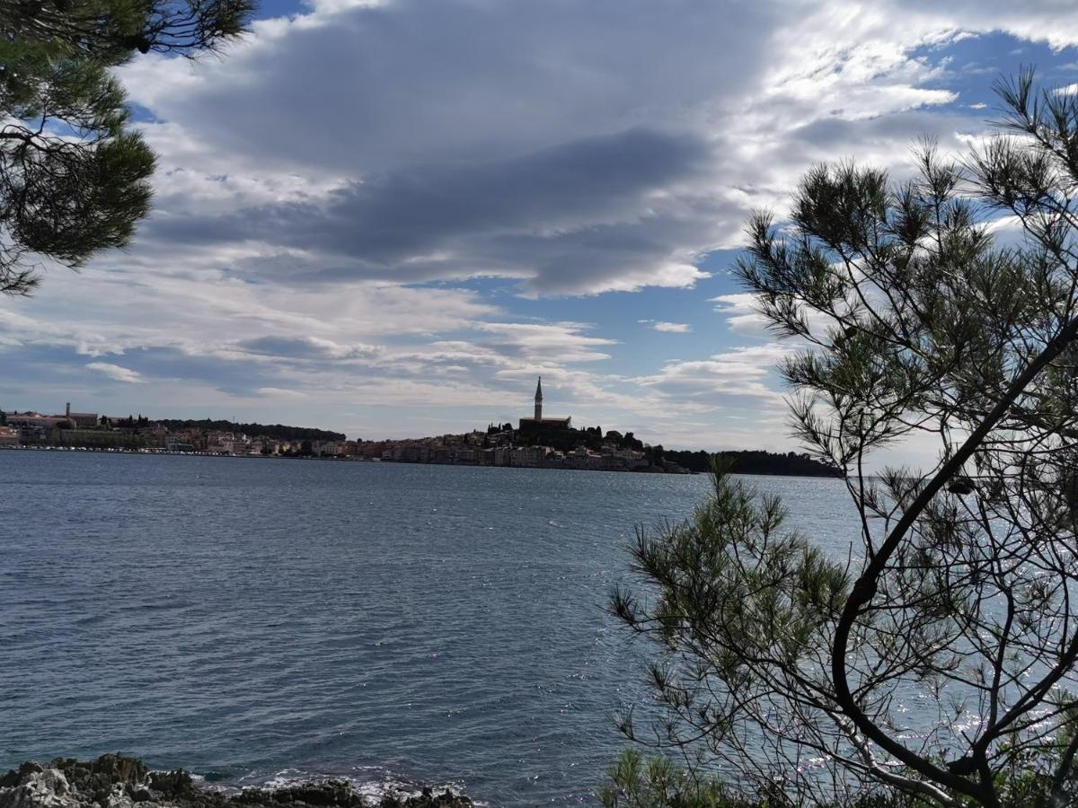 Apartments Sandra With Two Balcony Rovinj Exterior foto